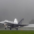 take off in the mist