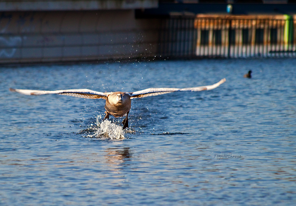 Takeoff!