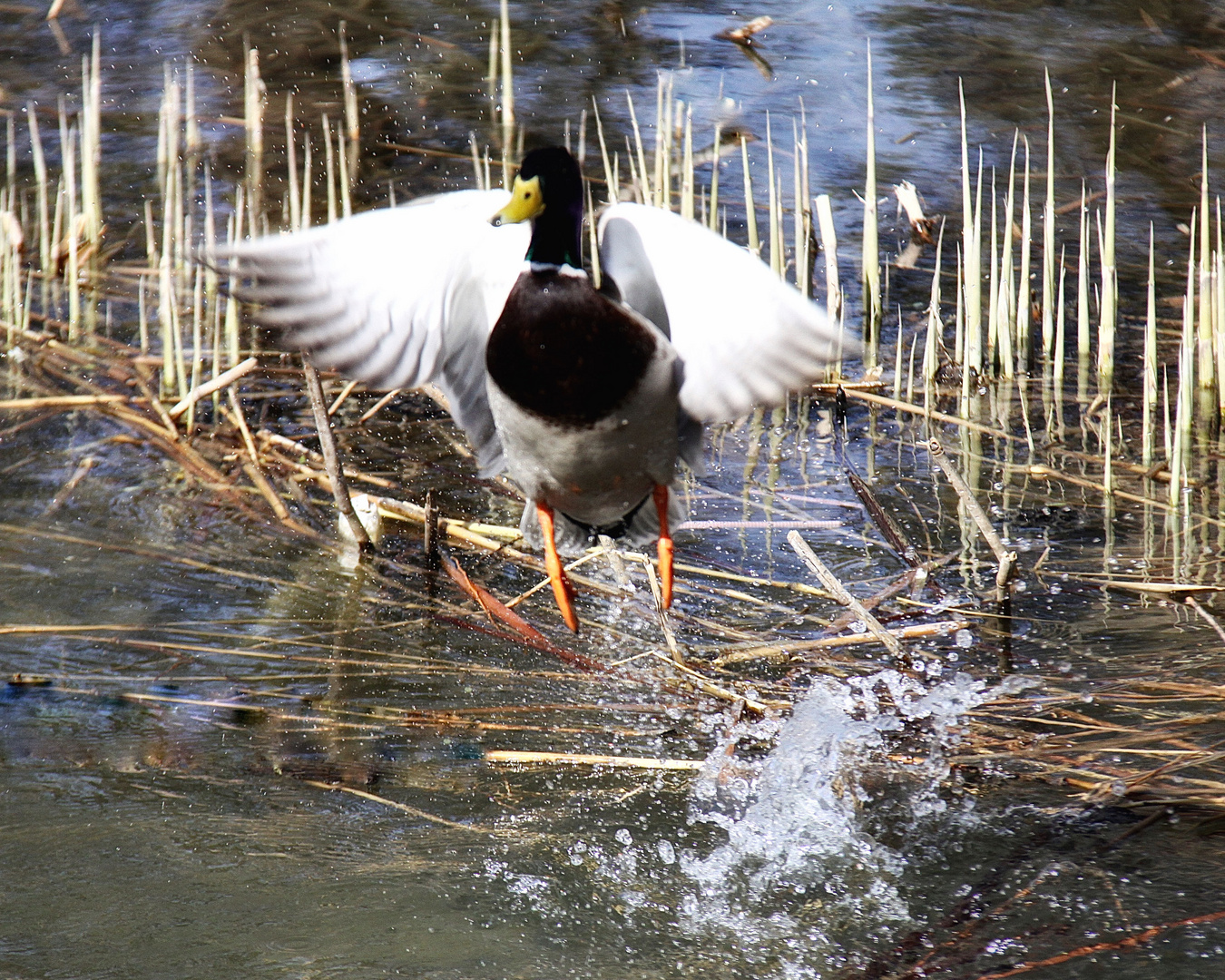 Takeoff Moment