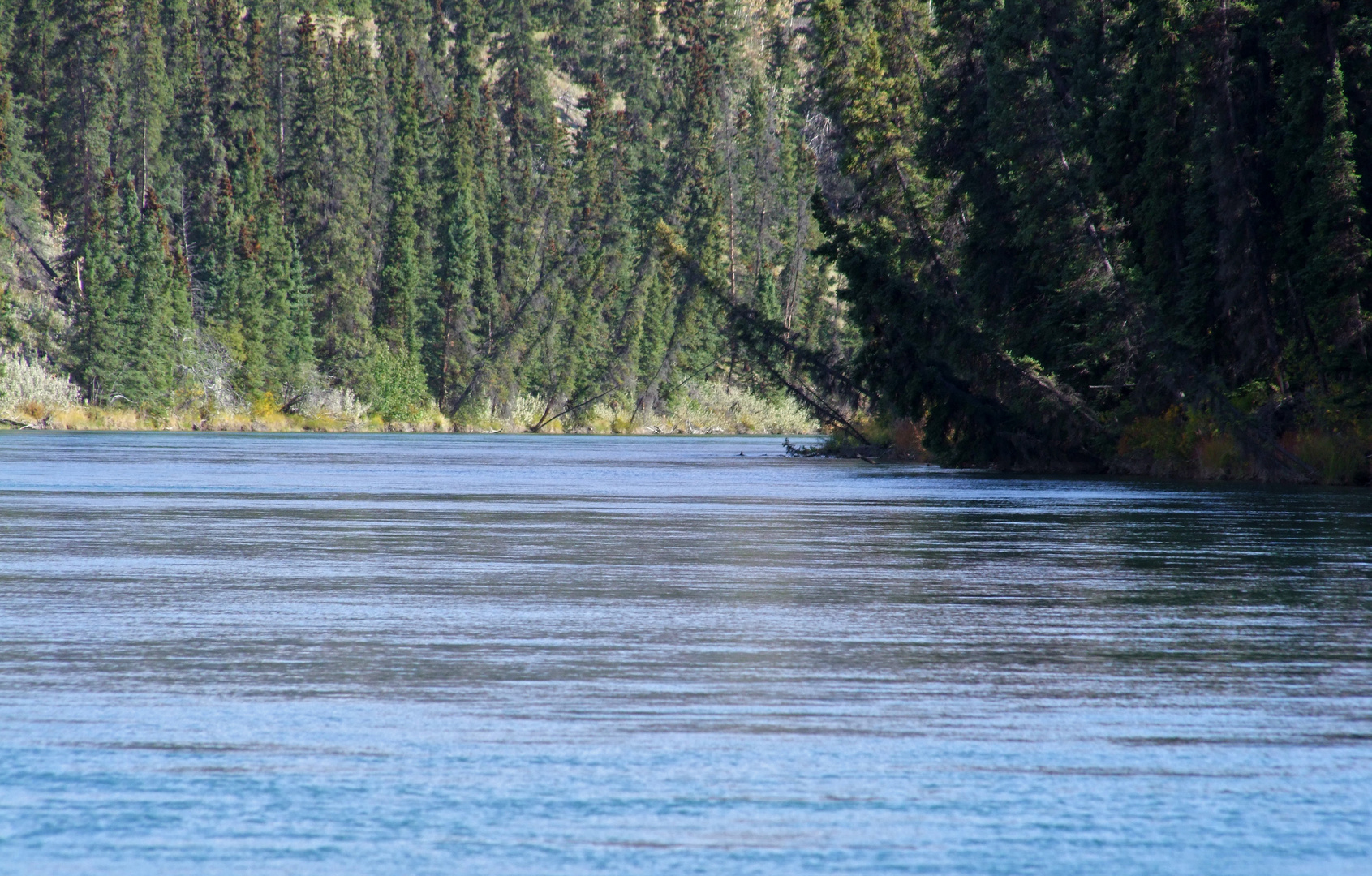 Takhini River/Yukon T.