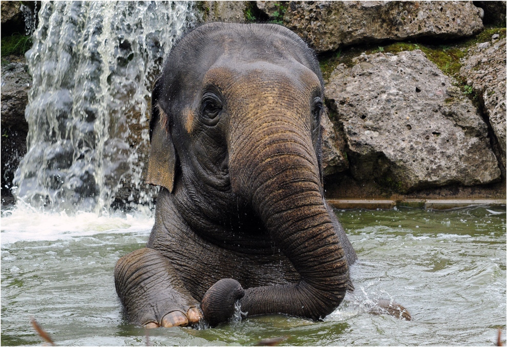 taking a bath