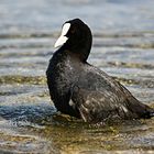 Taking a bath