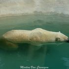 Taking a bath