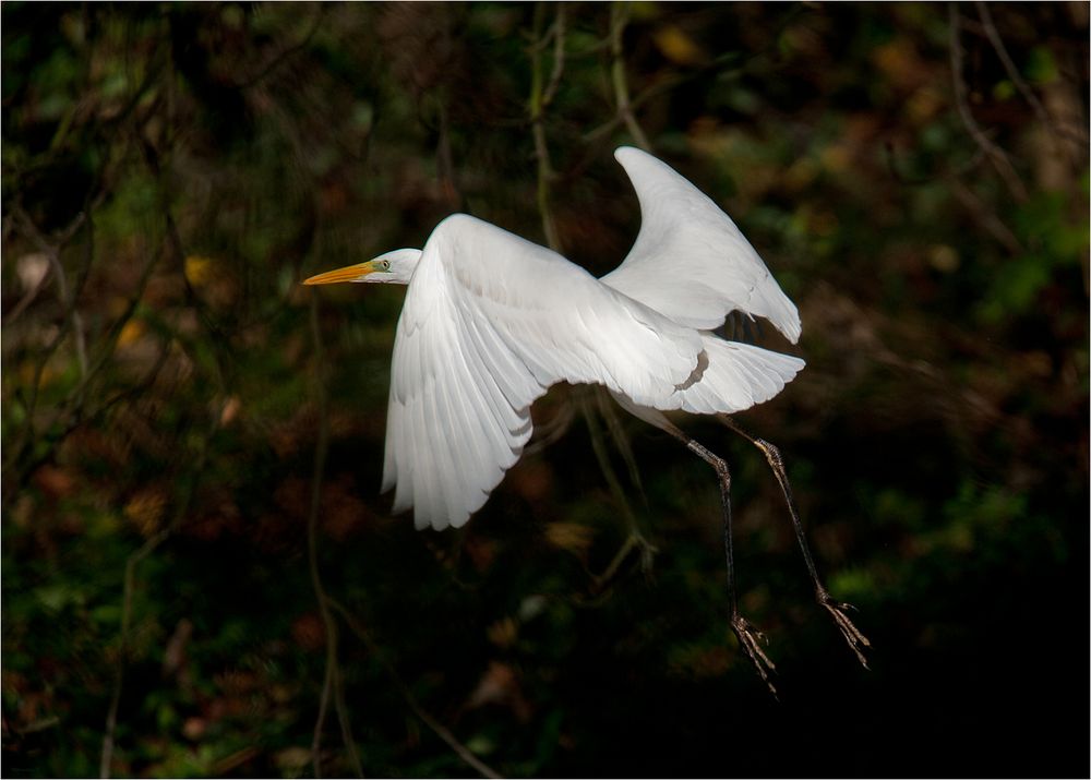 Taking off