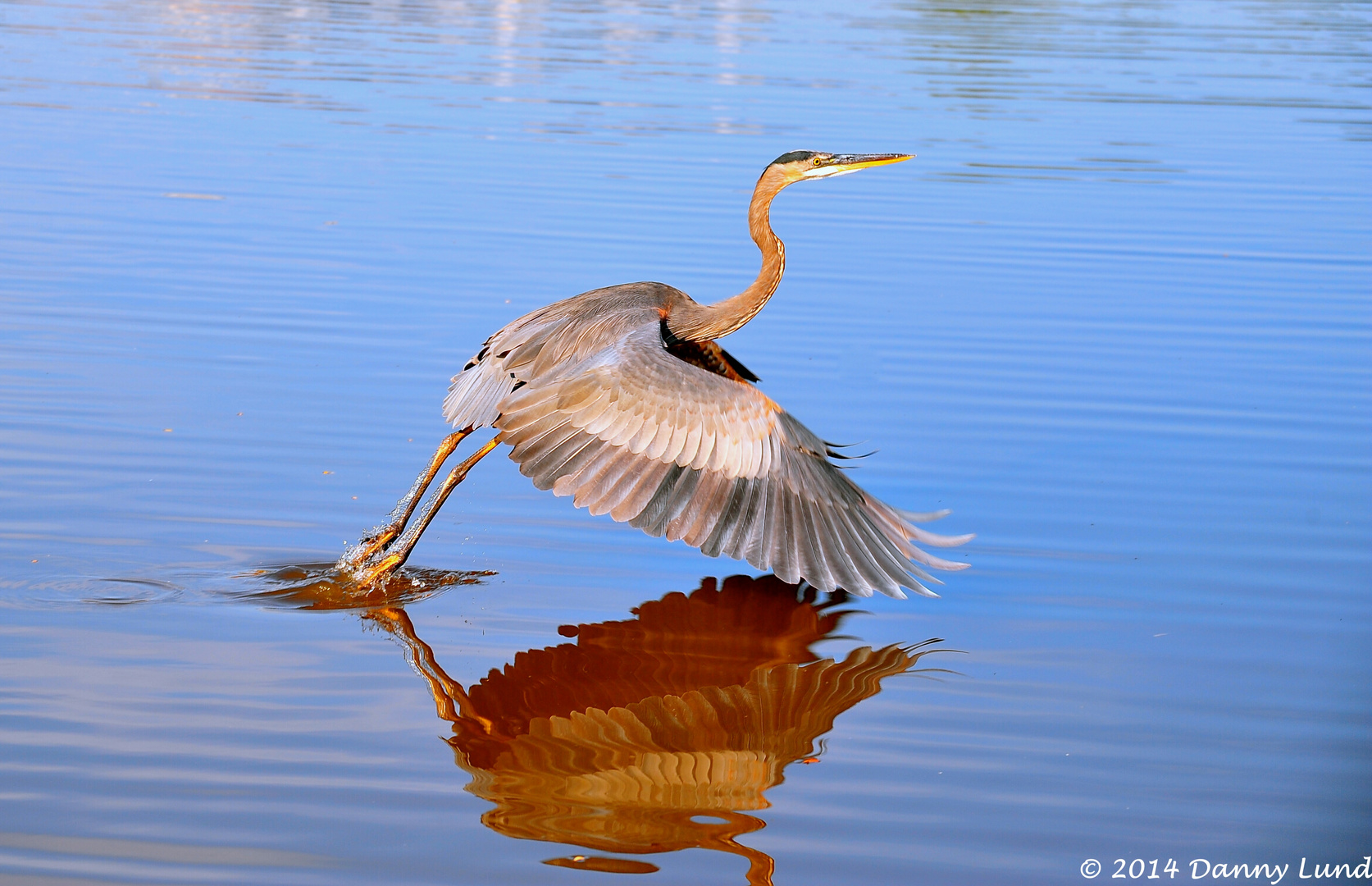 Taking Off