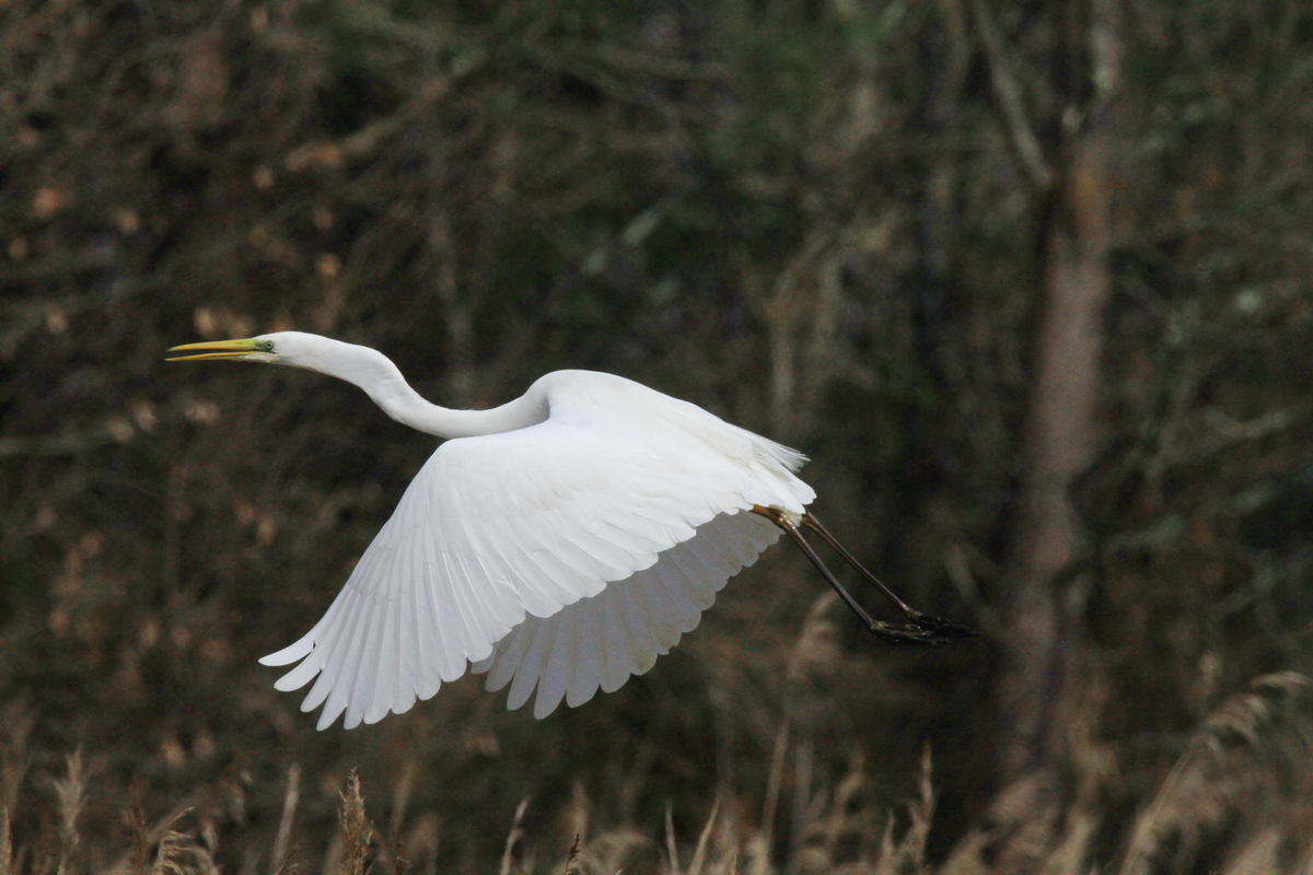 Taking off