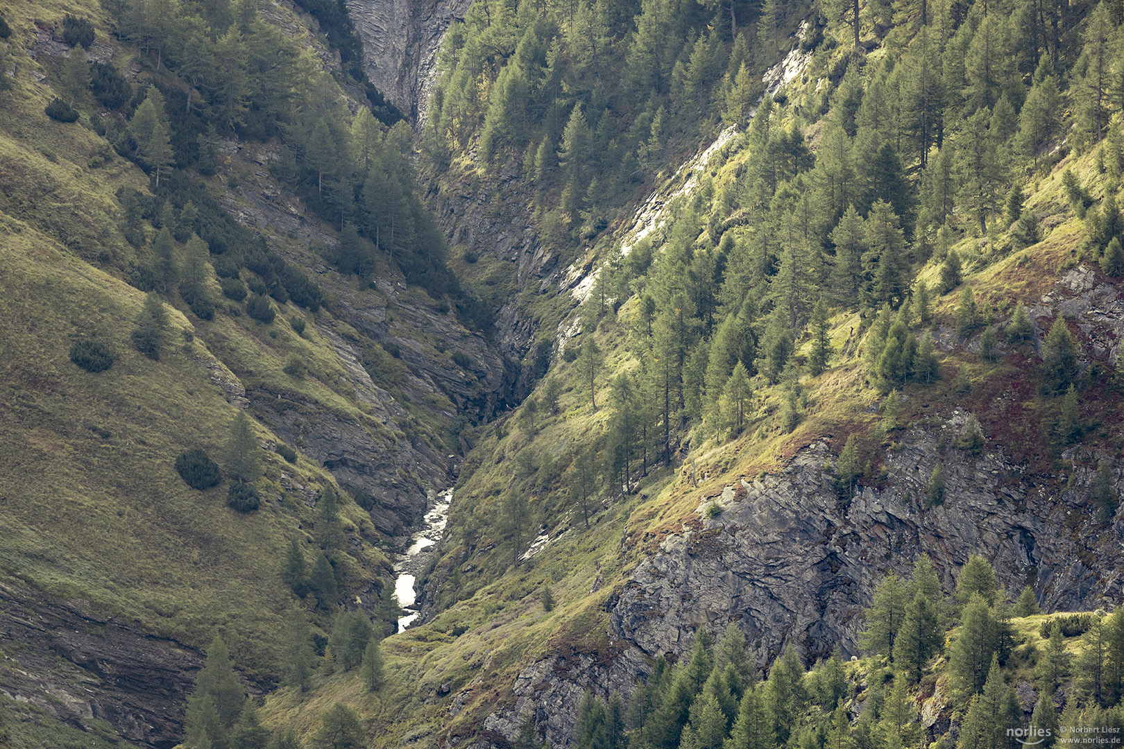 Tal am Großglockner