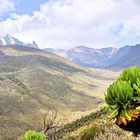 Tal am Mount Kenia