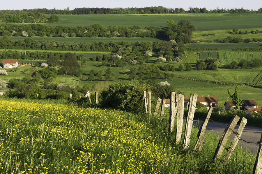 Tal bei Chateau Rouge