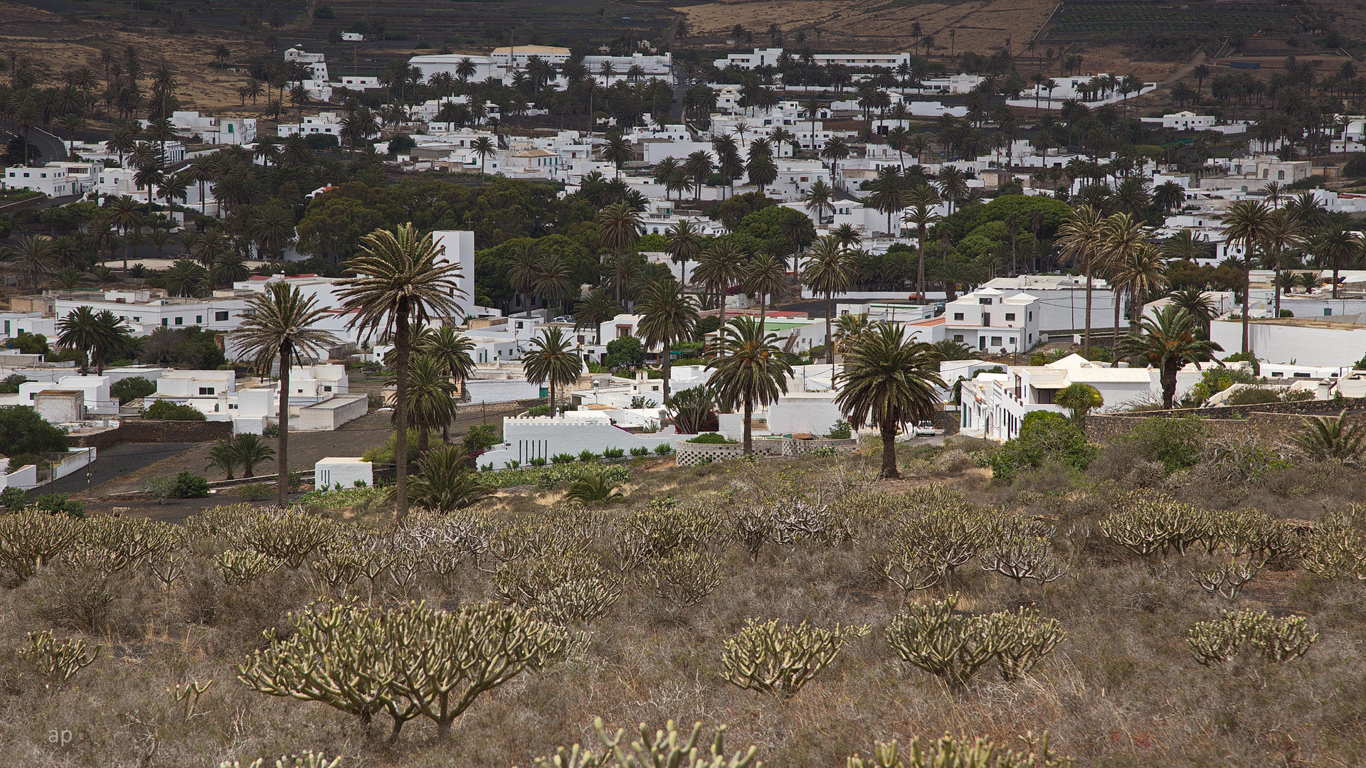 Tal der 1000 Palmen Foto & Bild europe, abstraktes, canary islands die kanaren Bilder auf