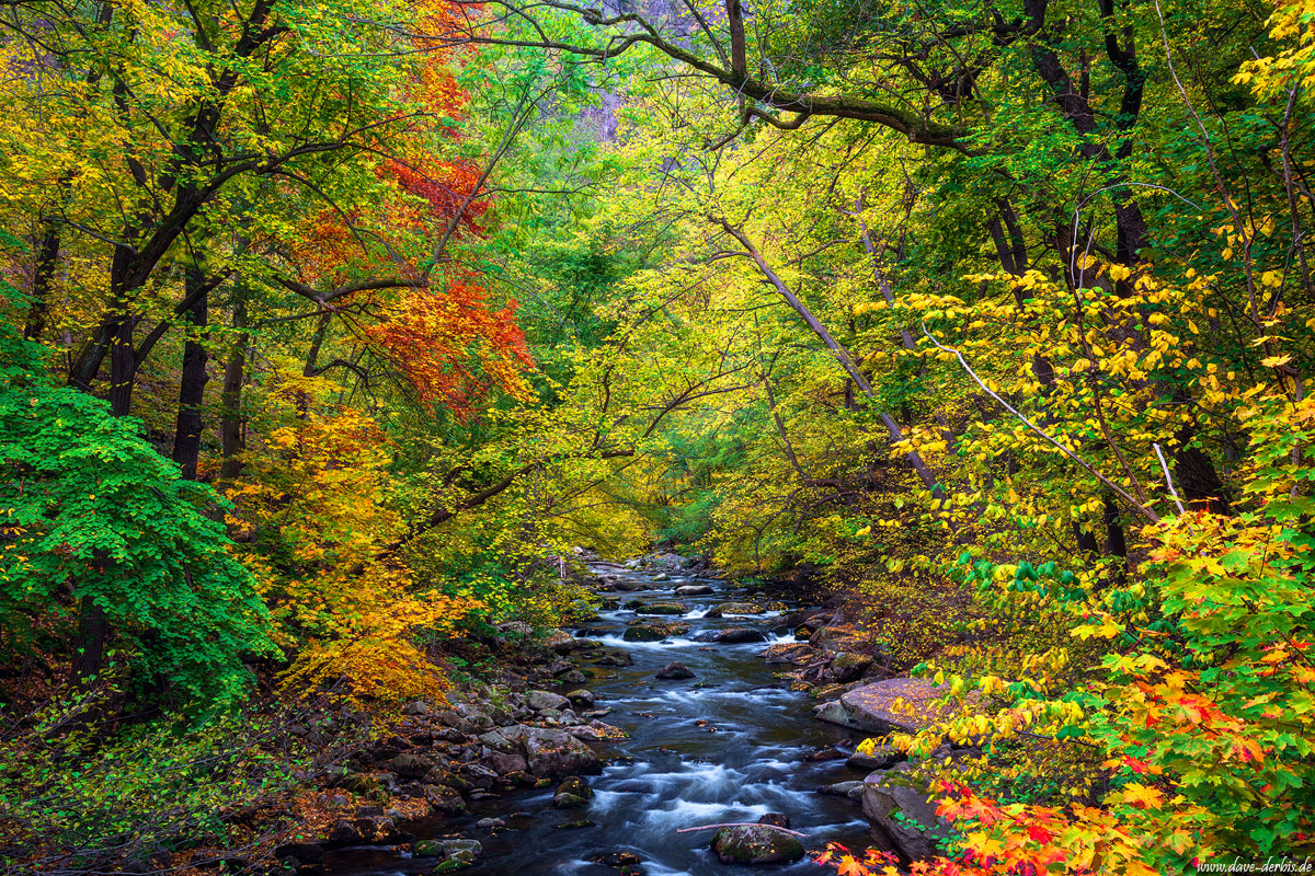 Tal der Herbstfarben