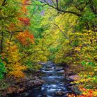 Tal der Herbstfarben