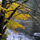 Tal der Ilz, Herbststimmung