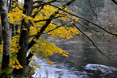 Tal der Ilz, Herbststimmung