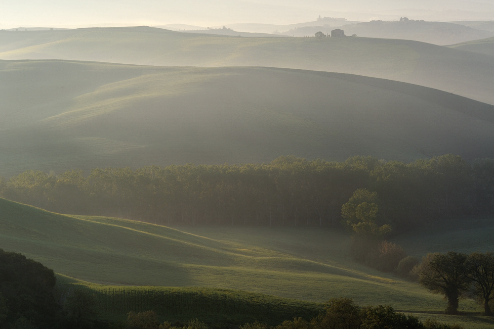 *Tal der Morgennebel III*