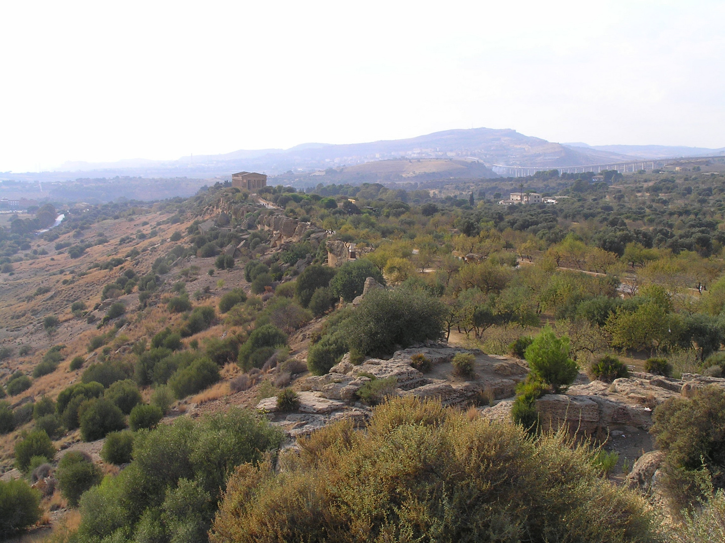 Tal der Tempel, Agrigento (AG), Sizilien, Italien, 2011 (3)