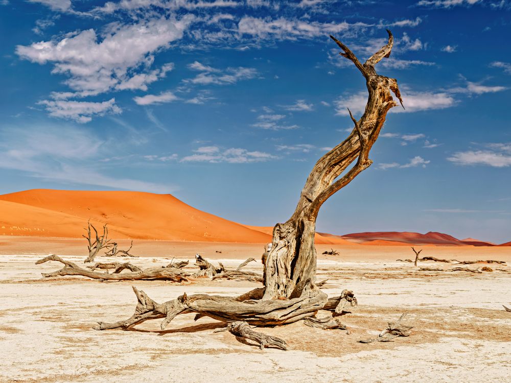 Tal der toten Bäume Foto & Bild africa, southern africa, namibia