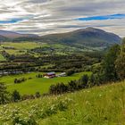 Tal Drivdalen Oppdal