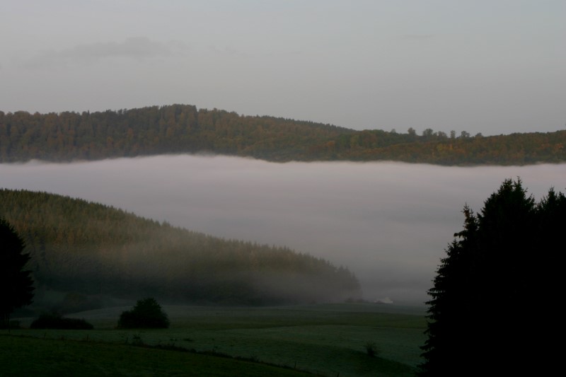 Tal im Morgennebel