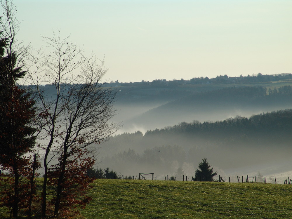 Tal im Nebel