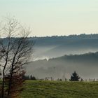 Tal im Nebel