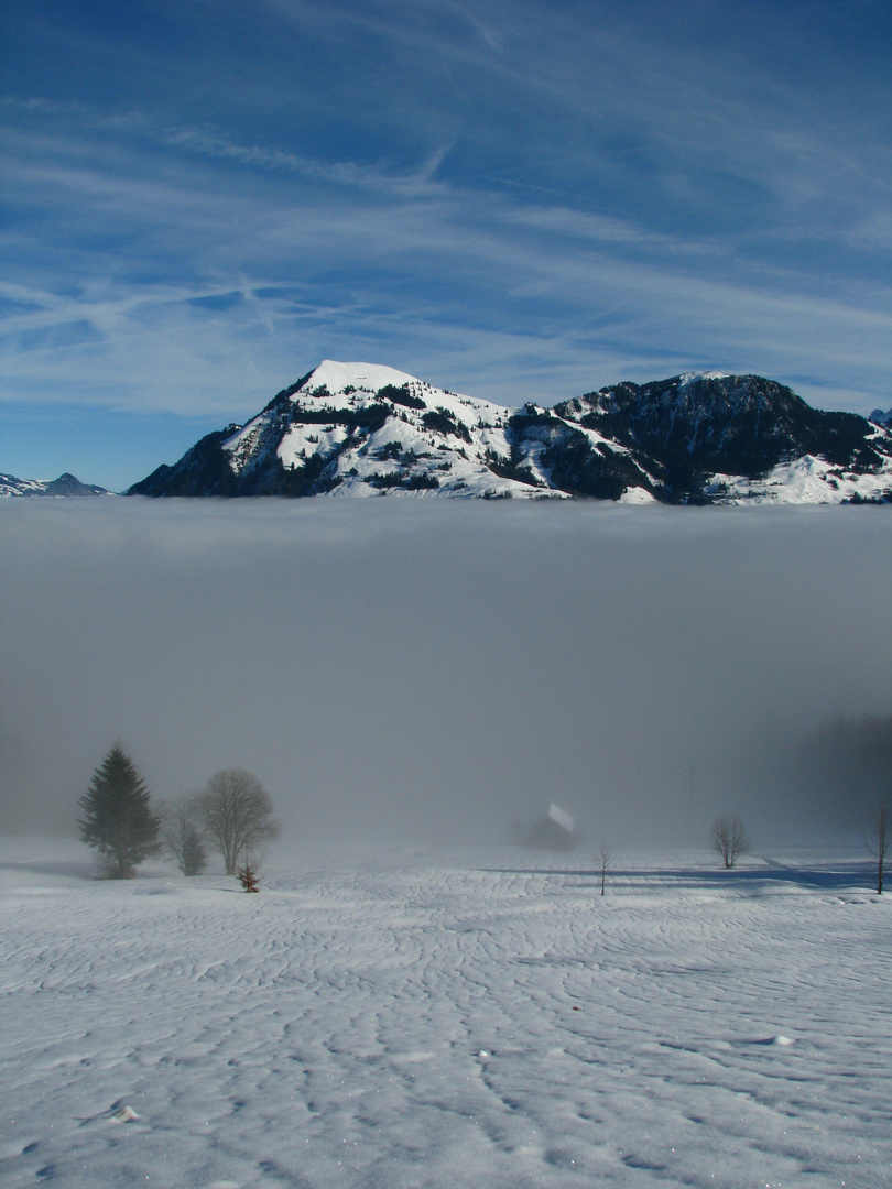 Tal im Nebel