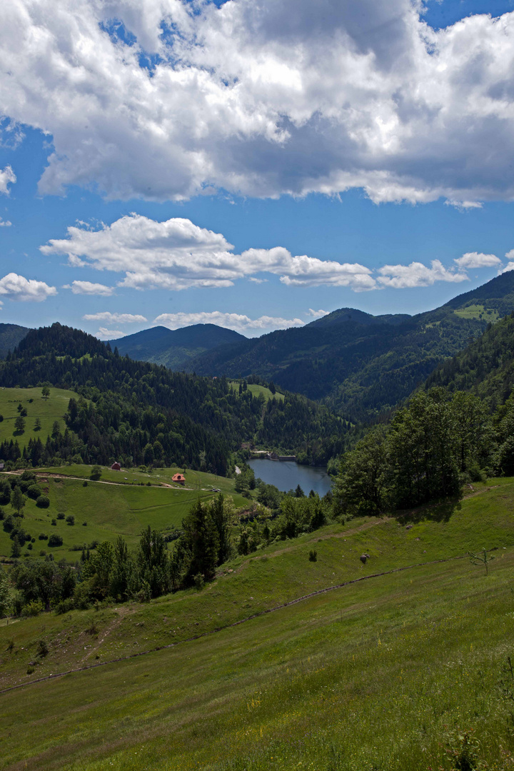 Tal im serbischen Nationalpark Tara