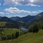 Tal im serbischen Nationalpark Tara