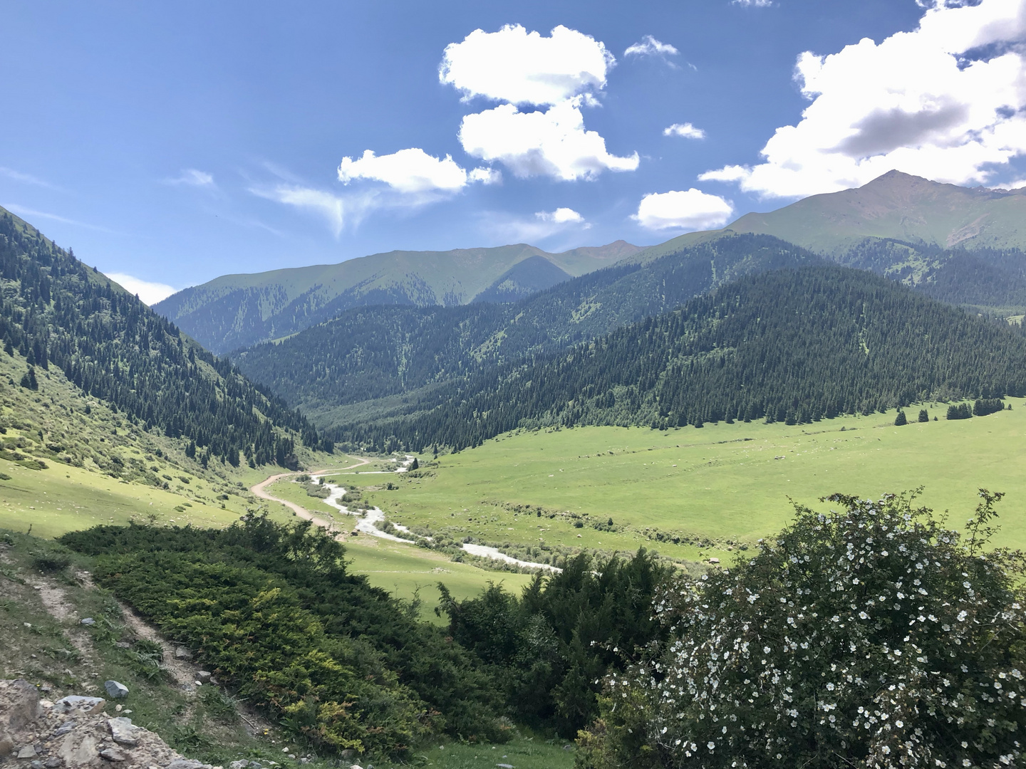 Tal im Tian Shan Gebirge, Kirgisistan