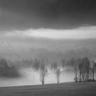 tal nebel b/w