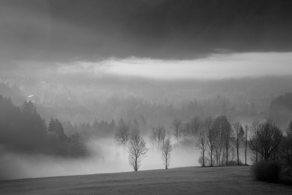 tal nebel b/w