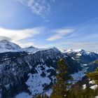 Tal von Grindelwald Richtung Interlaken