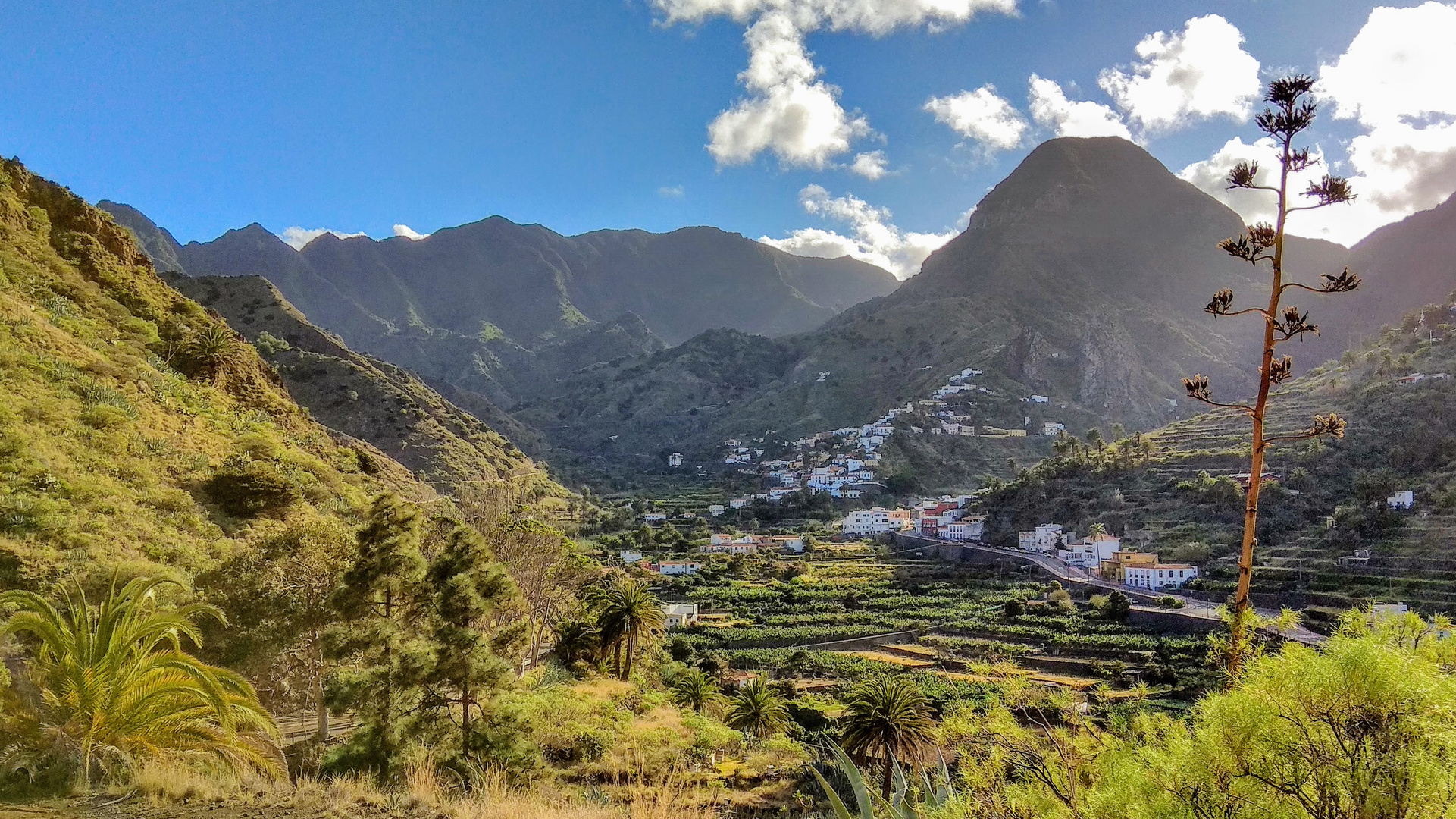 Tal von Hermigua - La Gomera