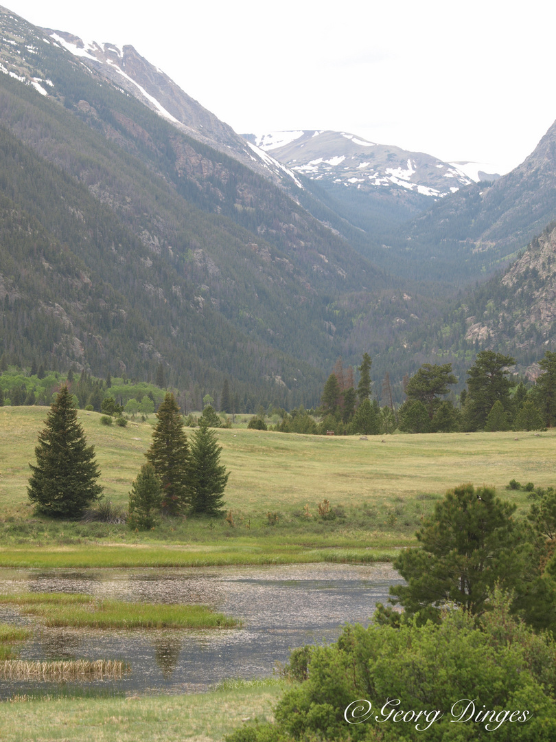 Tal von sheep lakes zum Fall River Pass 4-6-12