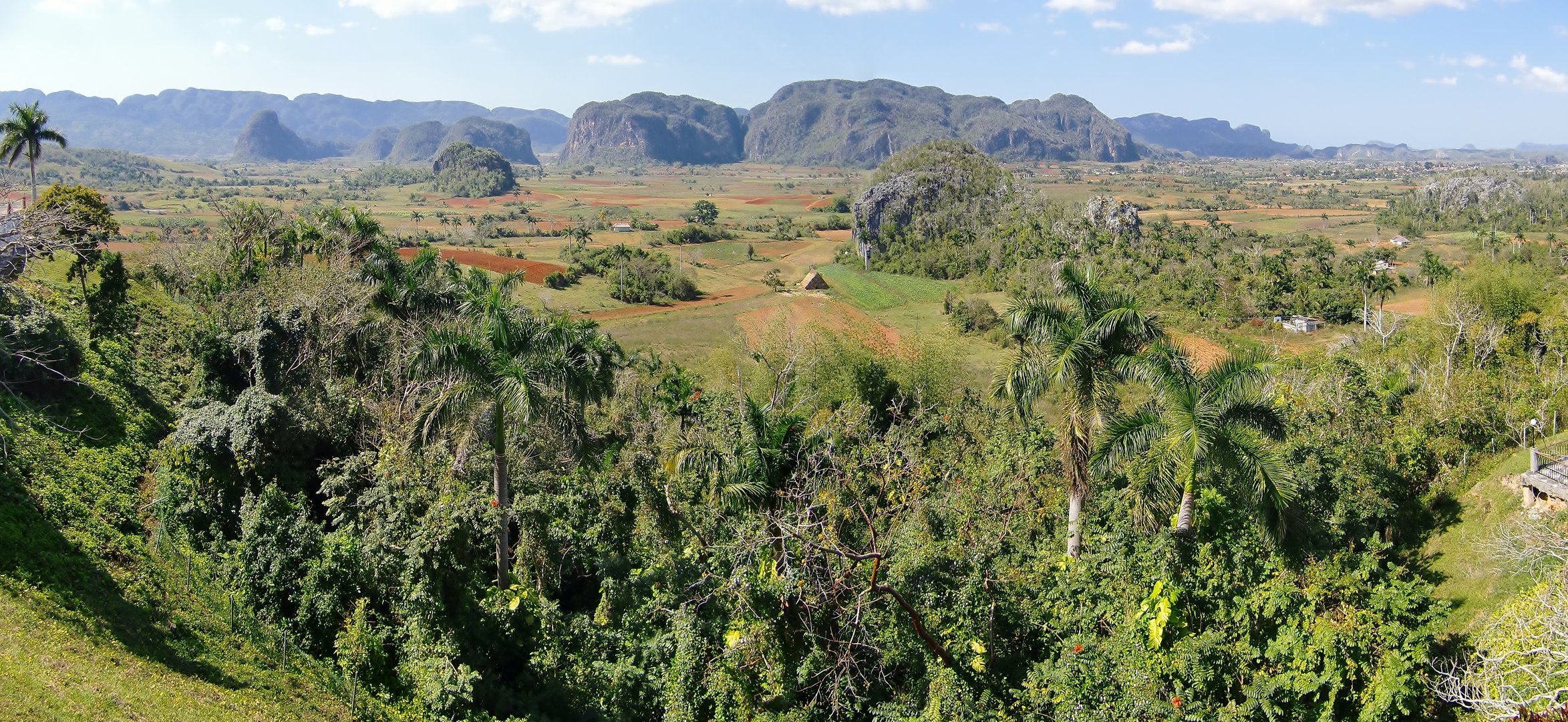 Tal von Vinales/ Cuba