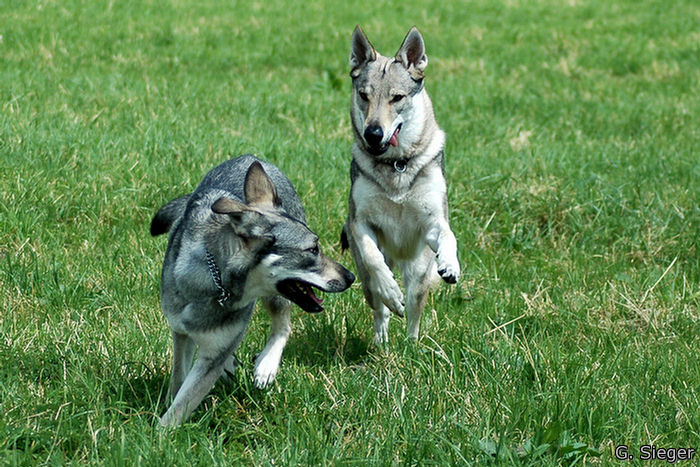 Tala und Waya im Spiel