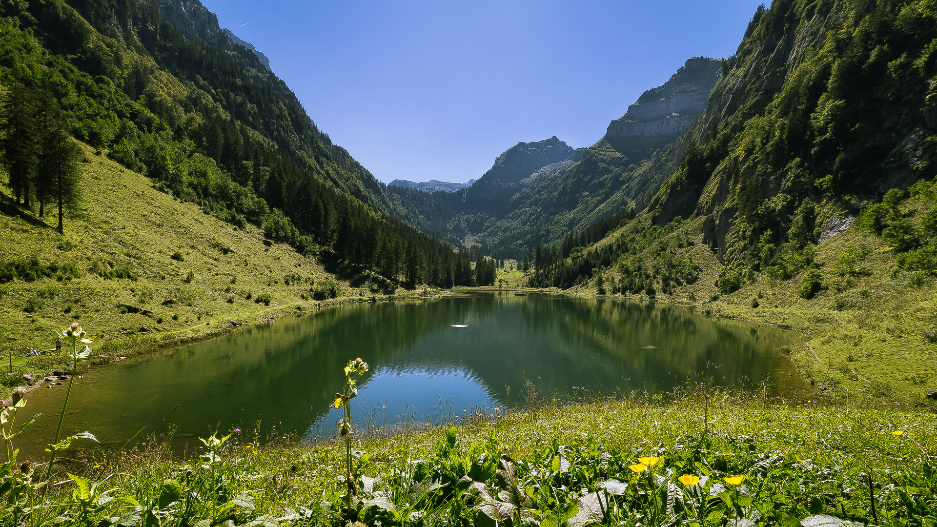 Talalpsee