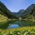 Talalpsee