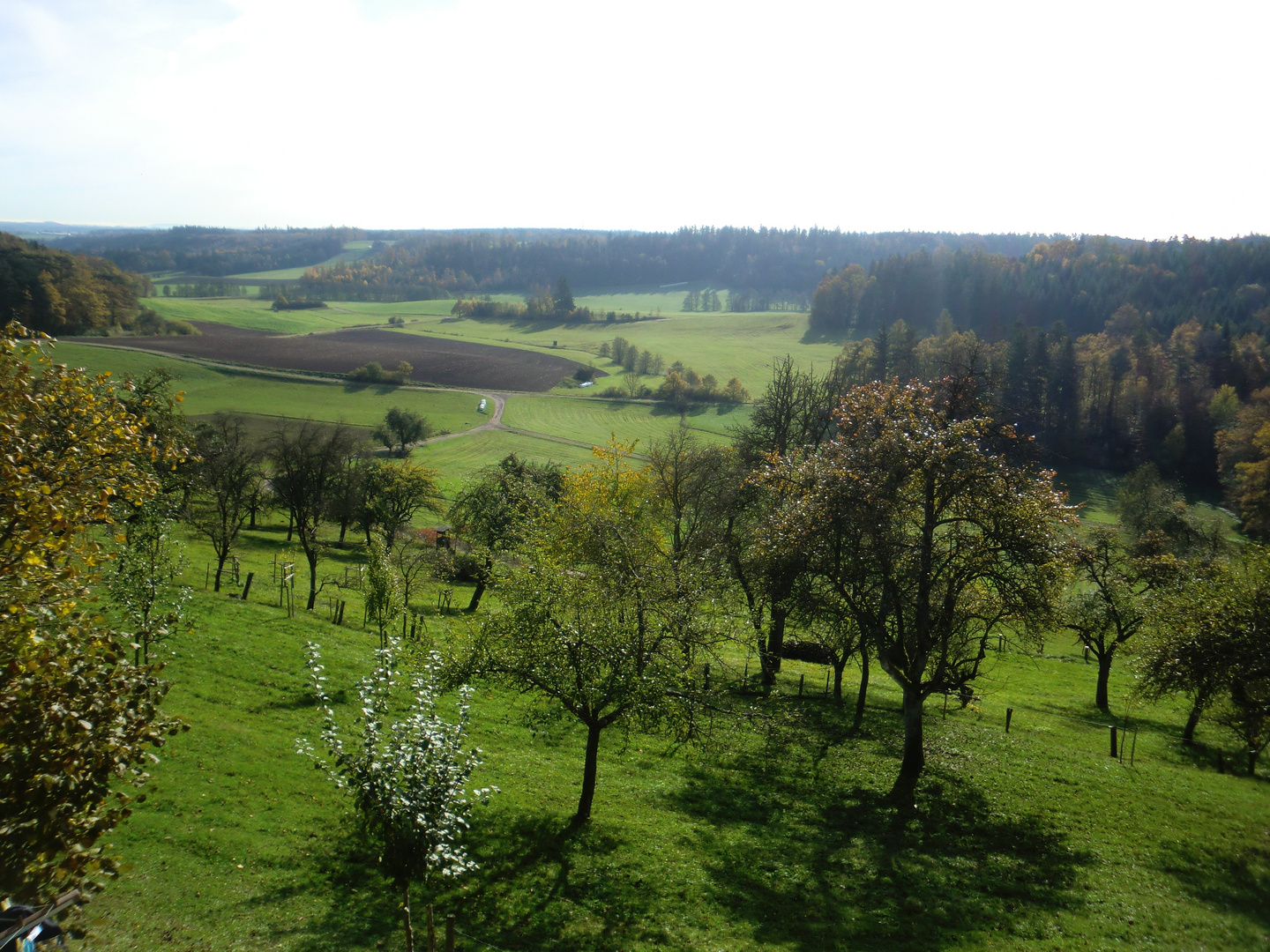 Talausblick