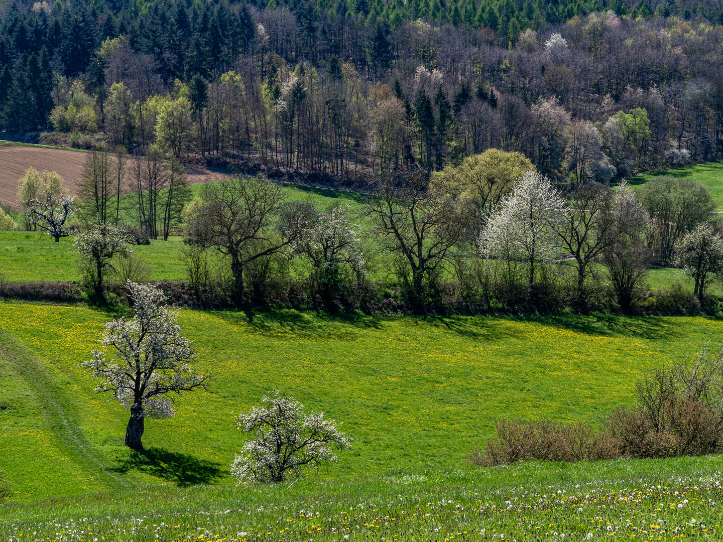 Talblick