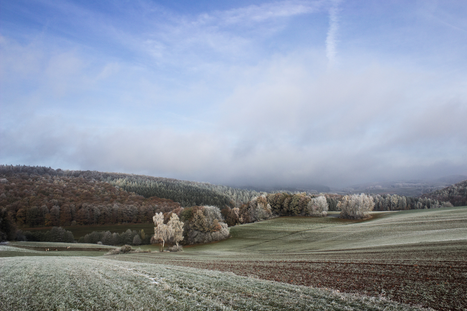 Talblick