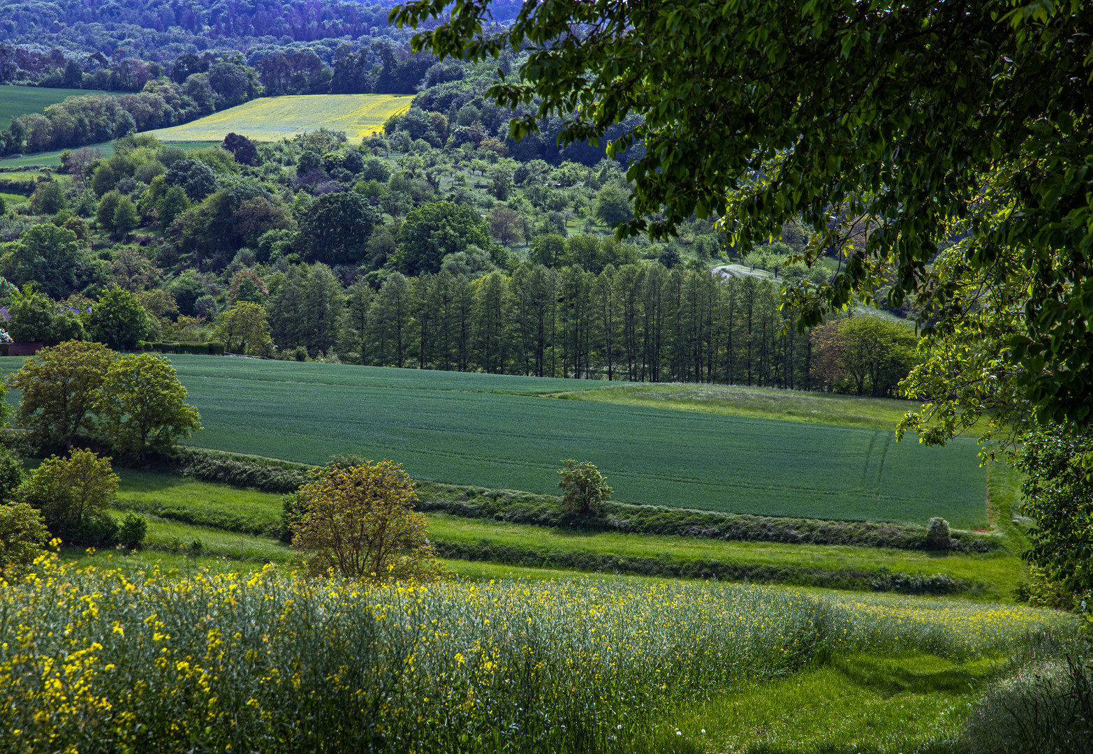 Talblick