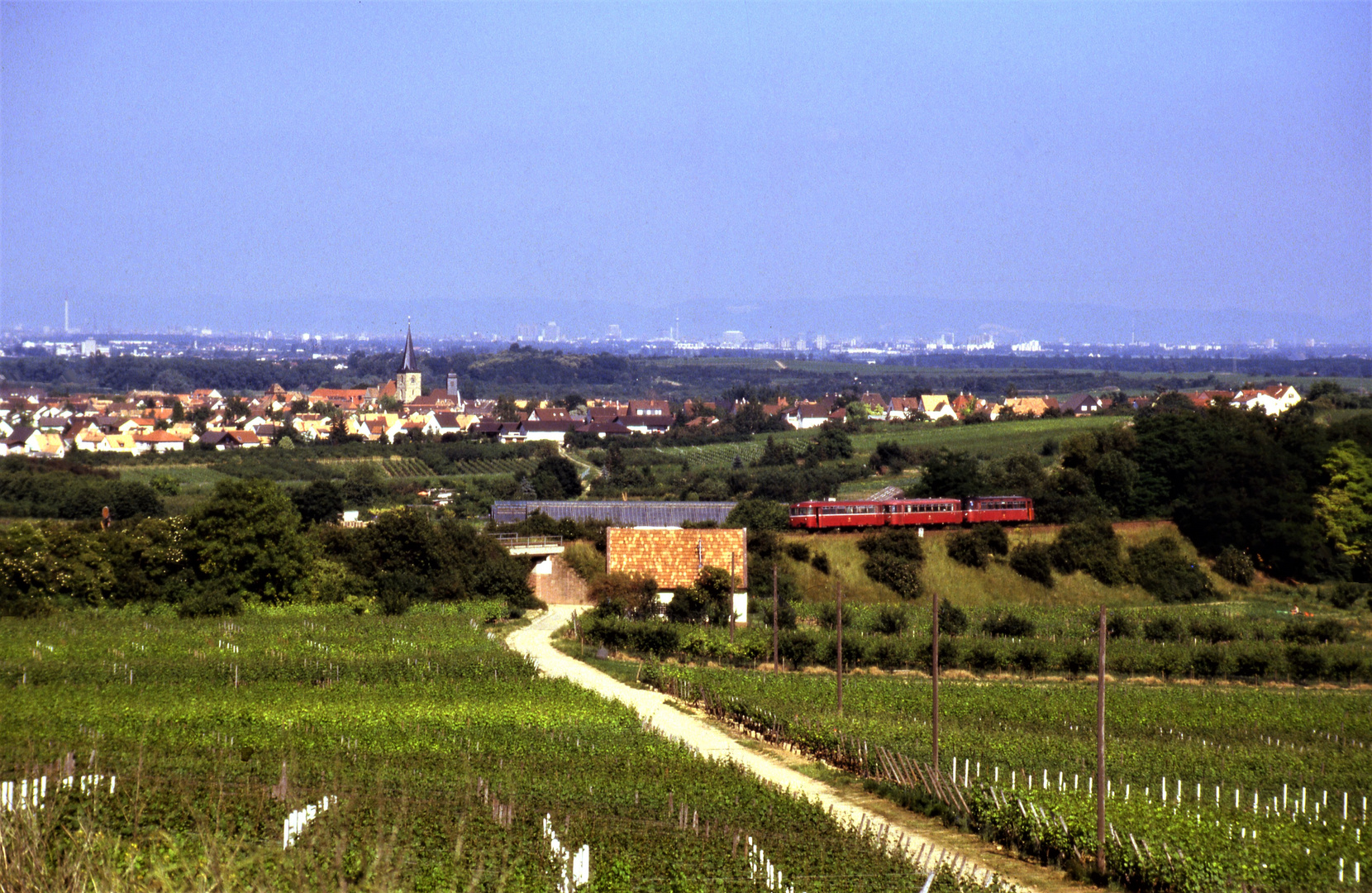 Talblick bei Freinsheim/Pfalz.