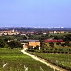 Talblick bei Freinsheim/Pfalz.