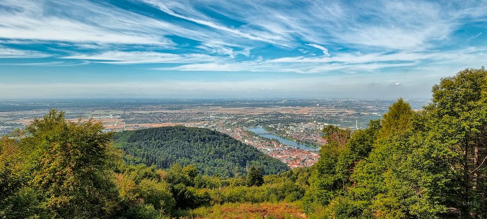 Talblick vom Königstuhl