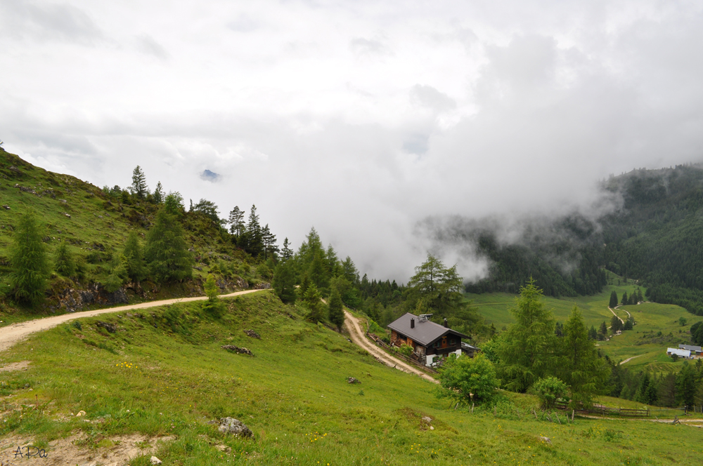 Talblick von der Almhütte (2)