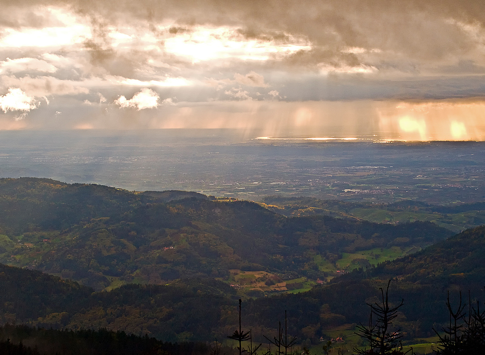 Talblick von der Hornisgrinde II