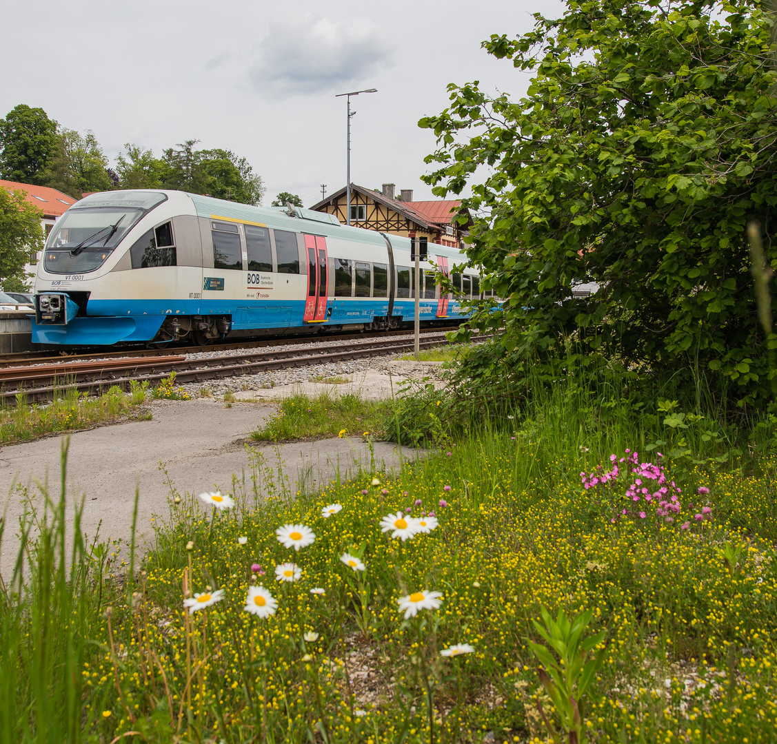 Talent mit Blumen