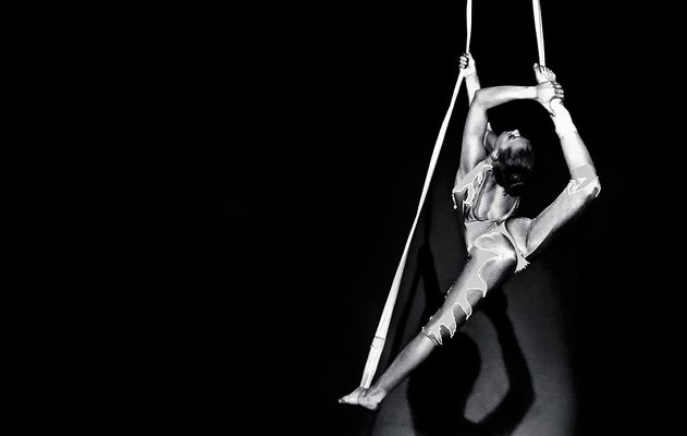 Talento e Dedizione #6