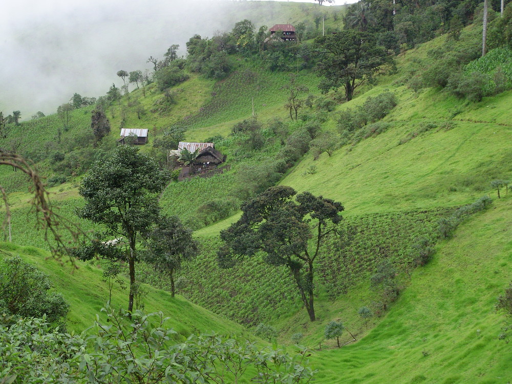 Talhang zum Rio Chimbo